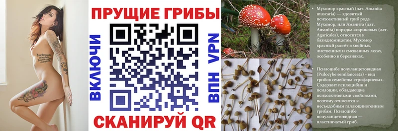 Галлюциногенные грибы Cubensis  Электроугли 